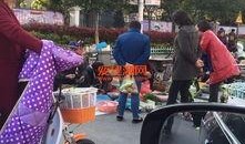 建湖网友爆料视频最新,惊现惊人一幕，视频内容引发热议！