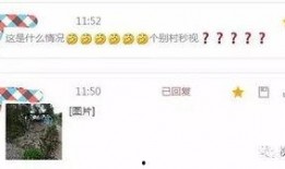 龙表最新爆料,最新爆料背后的惊人真相